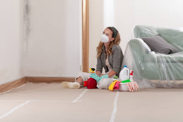 Reliable Basement Mold Remediation contractor in Lowell, MI by Mold Remediation HQ